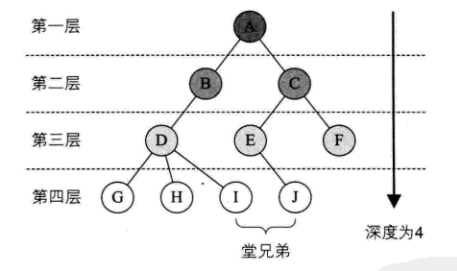 结点层次